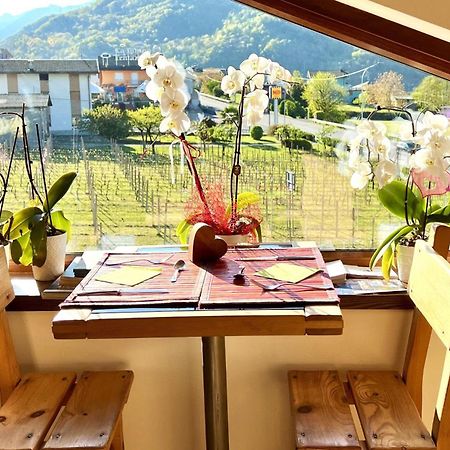 B&B Valtellina Mon Amour Piateda Zewnętrze zdjęcie